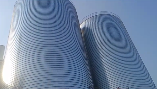 城东2座混凝土高架卷板仓